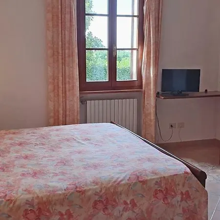 Nencini 3*