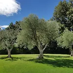 Отель Nencini 3*