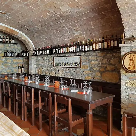 Nencini Volterra