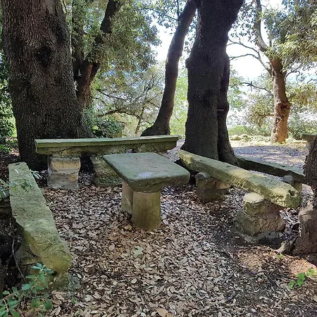 Nencini 3* Volterra